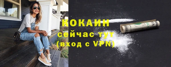 твердый Майский
