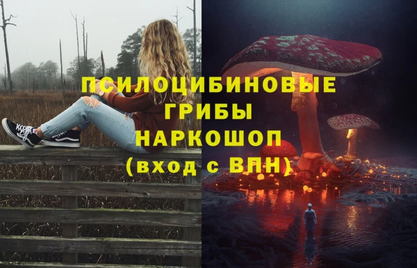 эйфоретик Алексин