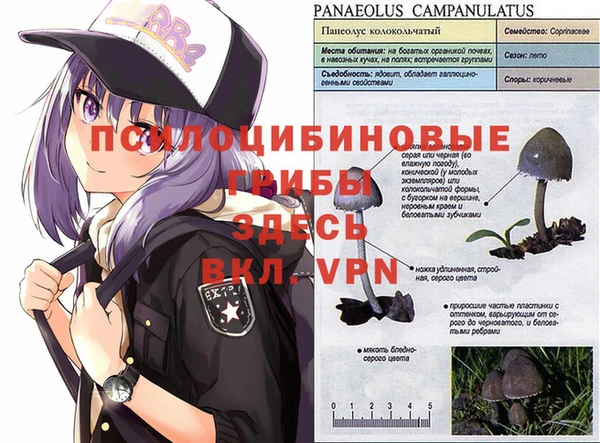 твердый Мегион