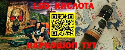 молекула духа Кингисепп