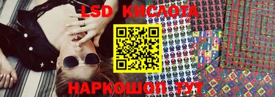 шишки Кимры