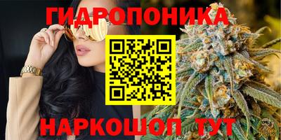 молекула духа Кингисепп