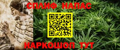 шишки Кимры