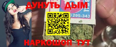 молекула духа Кингисепп