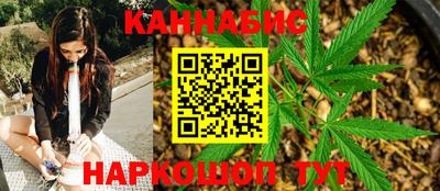 шишки Кимры