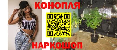 шишки Кимры