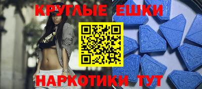 молекула духа Кингисепп