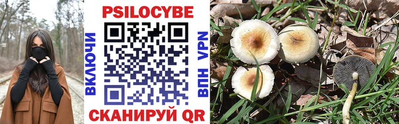 где можно купить наркотик  Первоуральск  Псилоцибиновые грибы Psilocybine cubensis 