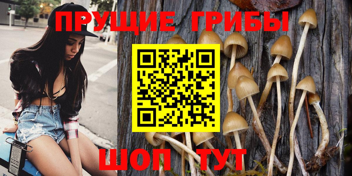 Первоуральск  Псилоцибиновые грибы GOLDEN TEACHER  Вход с VPN 